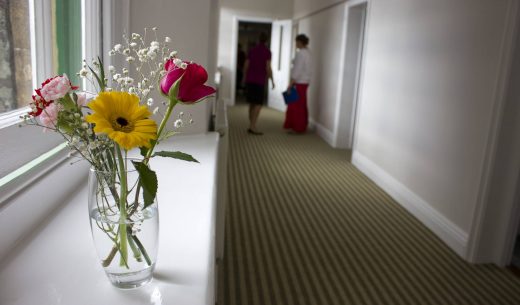 corridor with flowers on the window sill