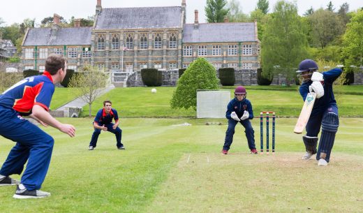 Cricket pitch