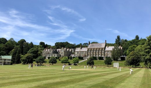 Cricket pitch