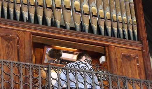 Organ