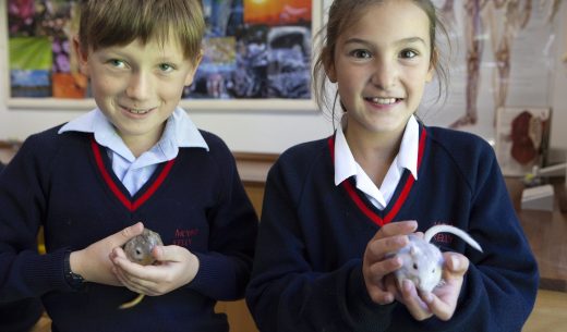 students in the science room