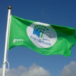 Green Eco School Flag