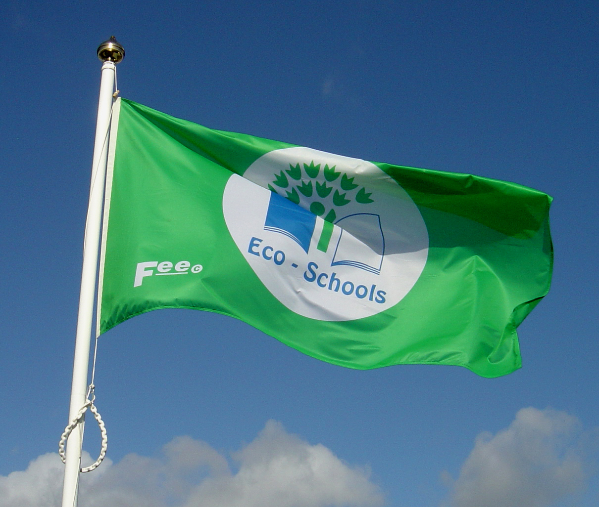 Green Eco School Flag
