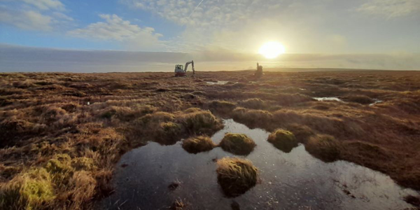 sun rising over water and land