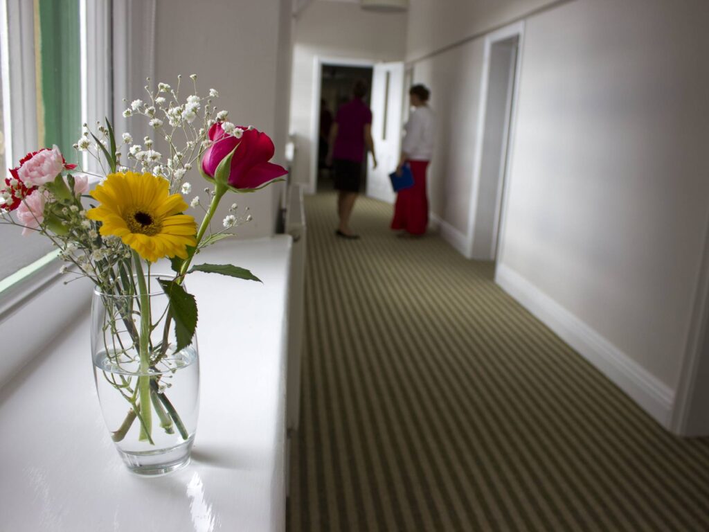 corridor with flowers on the window sill