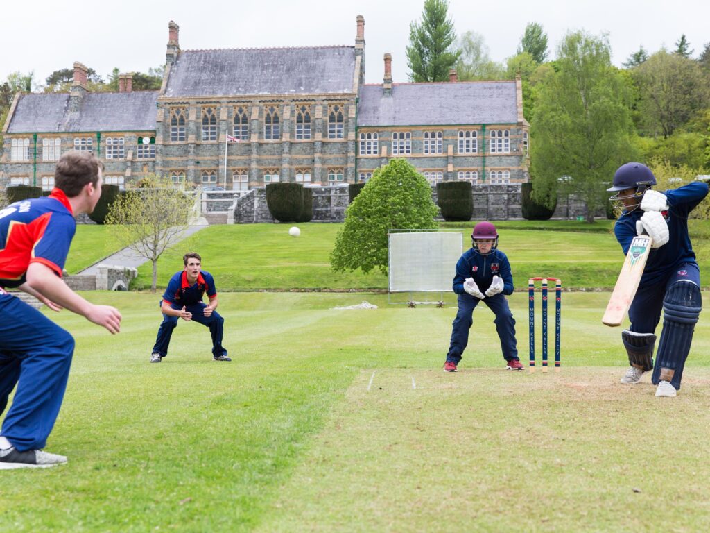 Cricket pitch