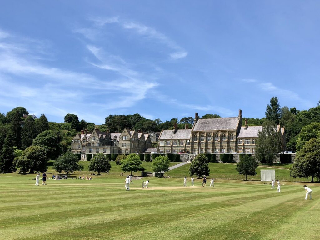 Cricket pitch