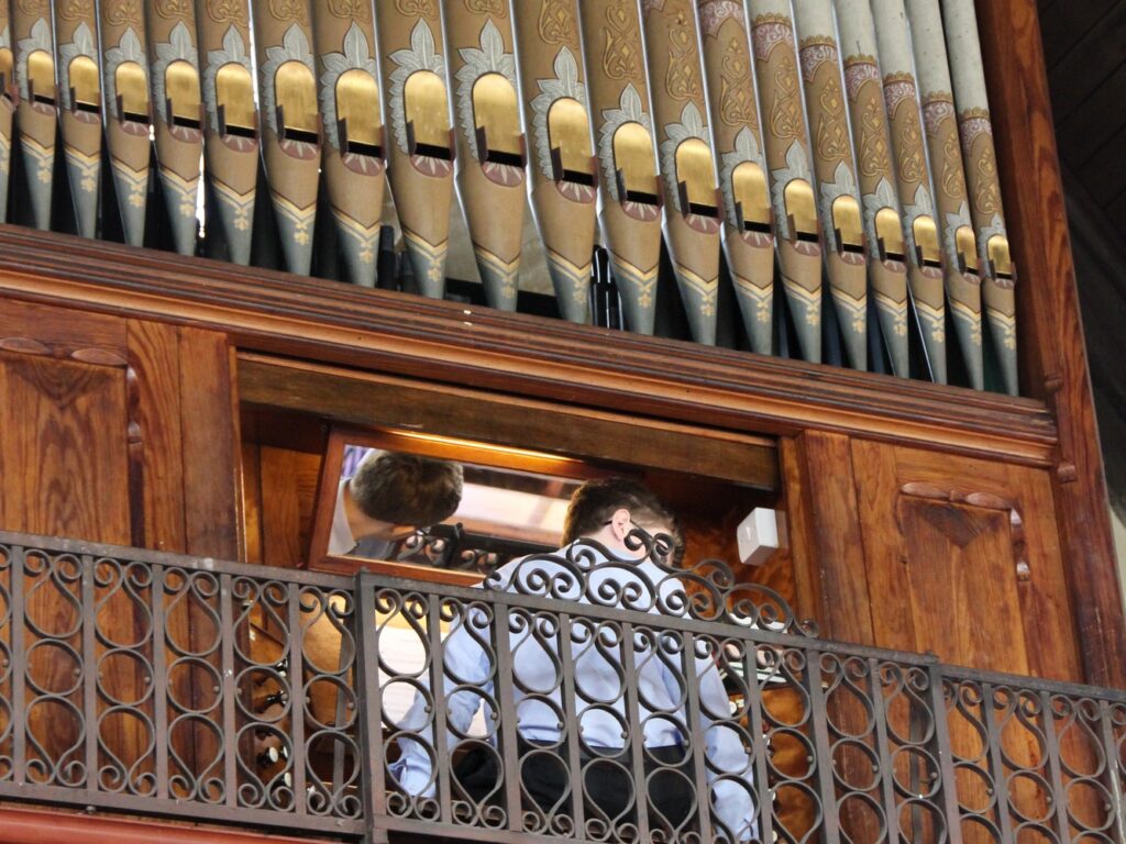 Organ