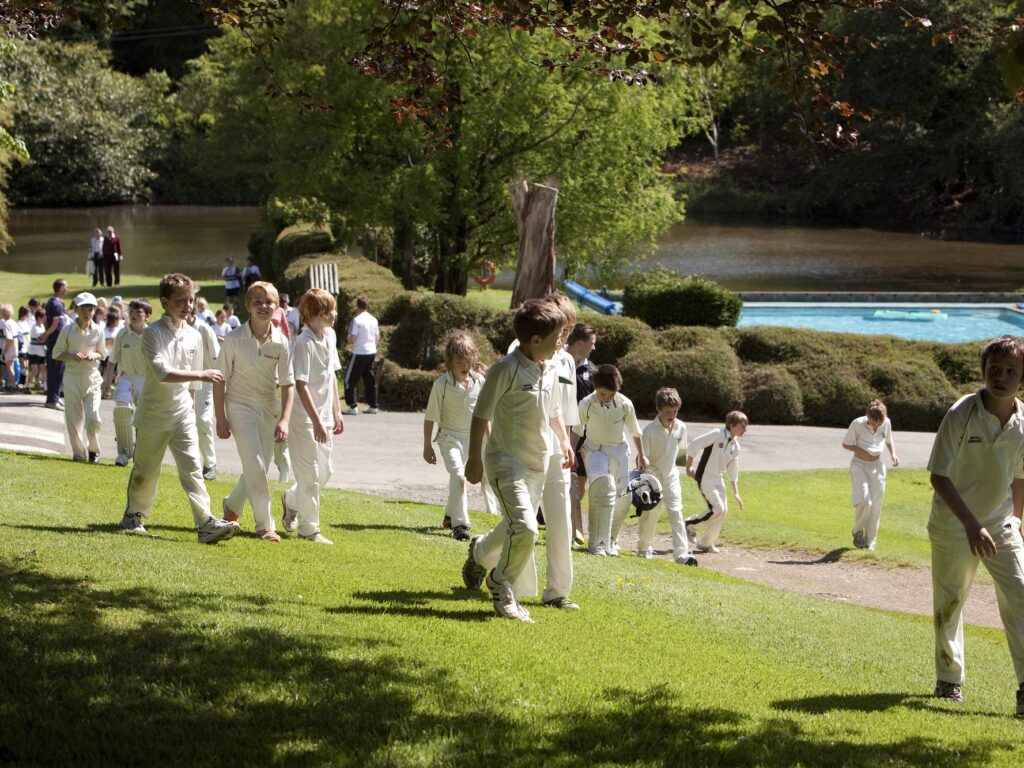 Cricket team