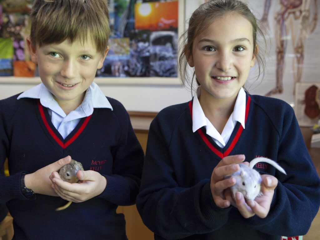 students in the science room