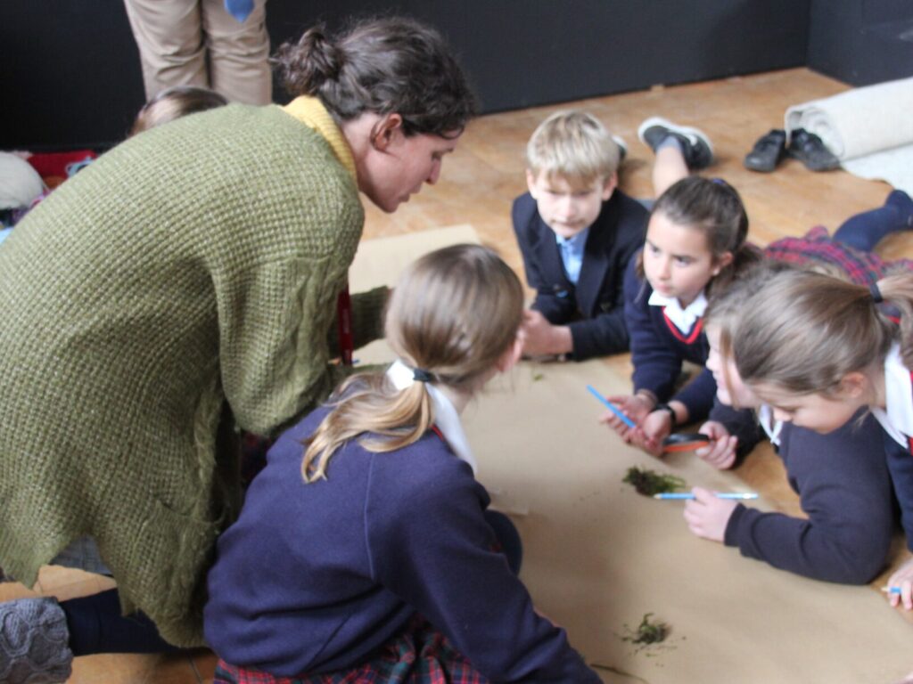 students looking at moss