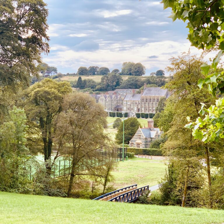 Park scene with a blue railing bridge over a small stream, grassy foreground, and a village of stone buildings beyond framed by trees.